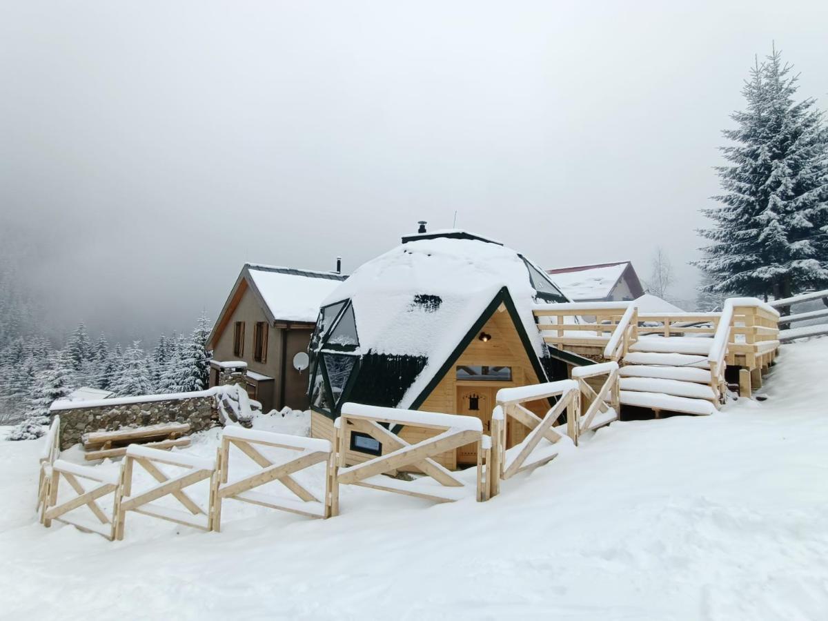 Domul Poarta Retezat Villa Rausor Exteriör bild