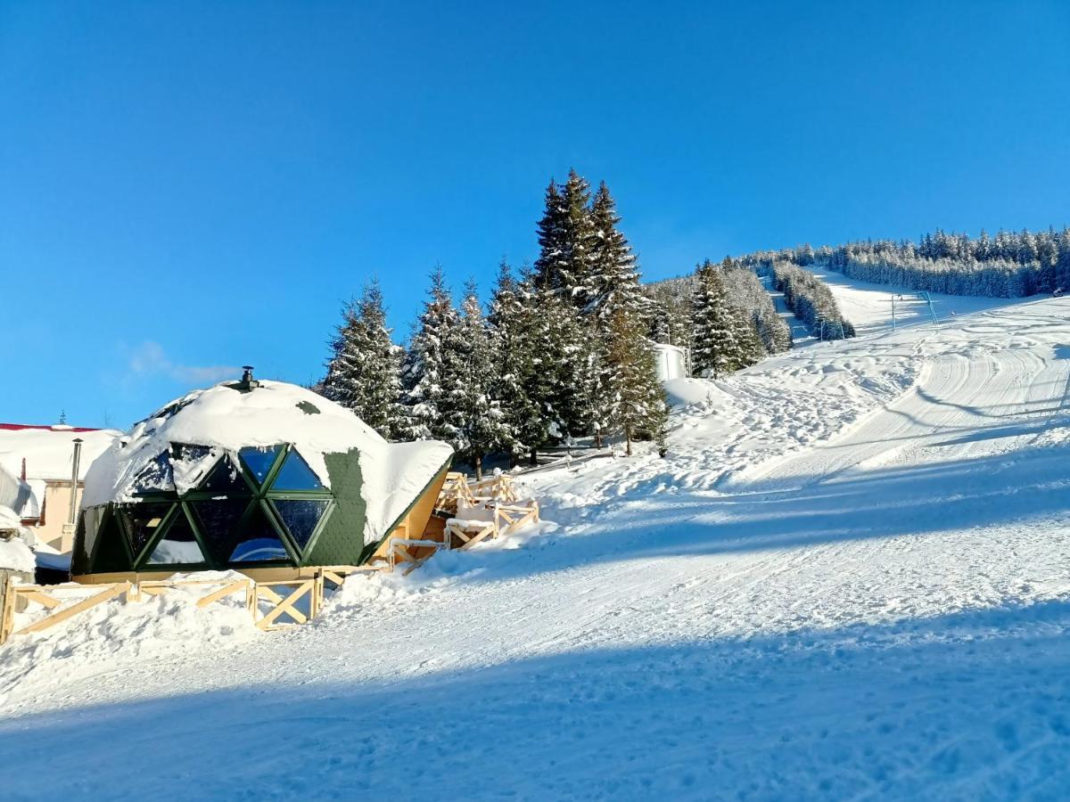Domul Poarta Retezat Villa Rausor Exteriör bild