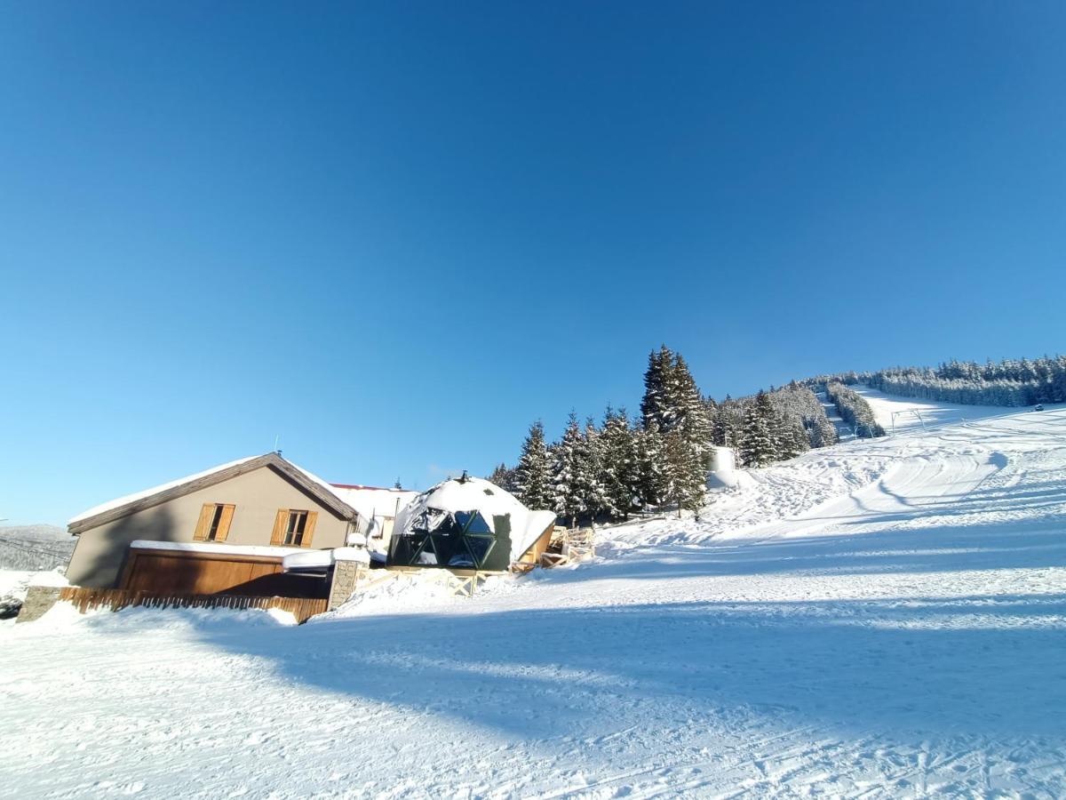 Domul Poarta Retezat Villa Rausor Exteriör bild