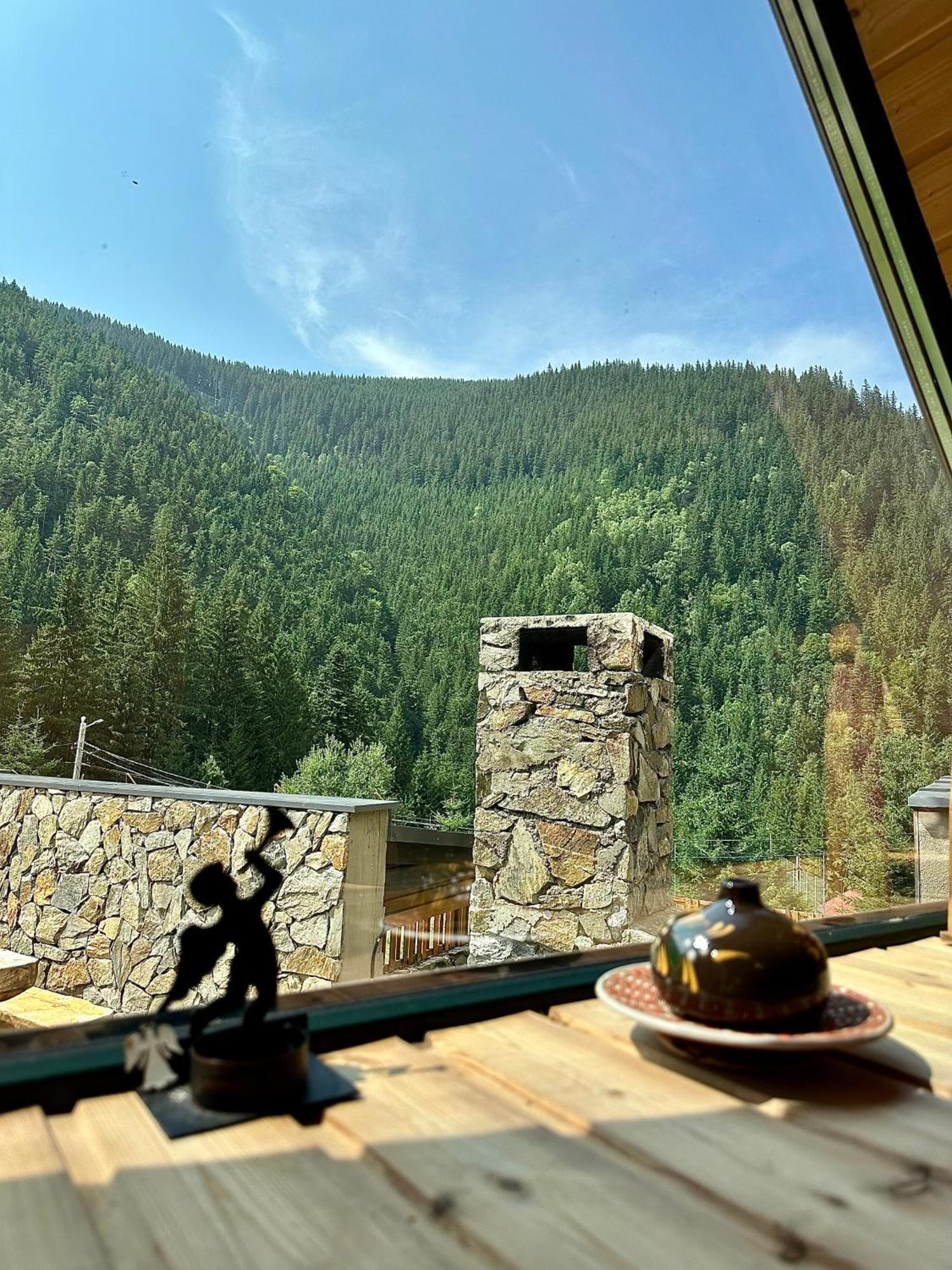 Domul Poarta Retezat Villa Rausor Exteriör bild