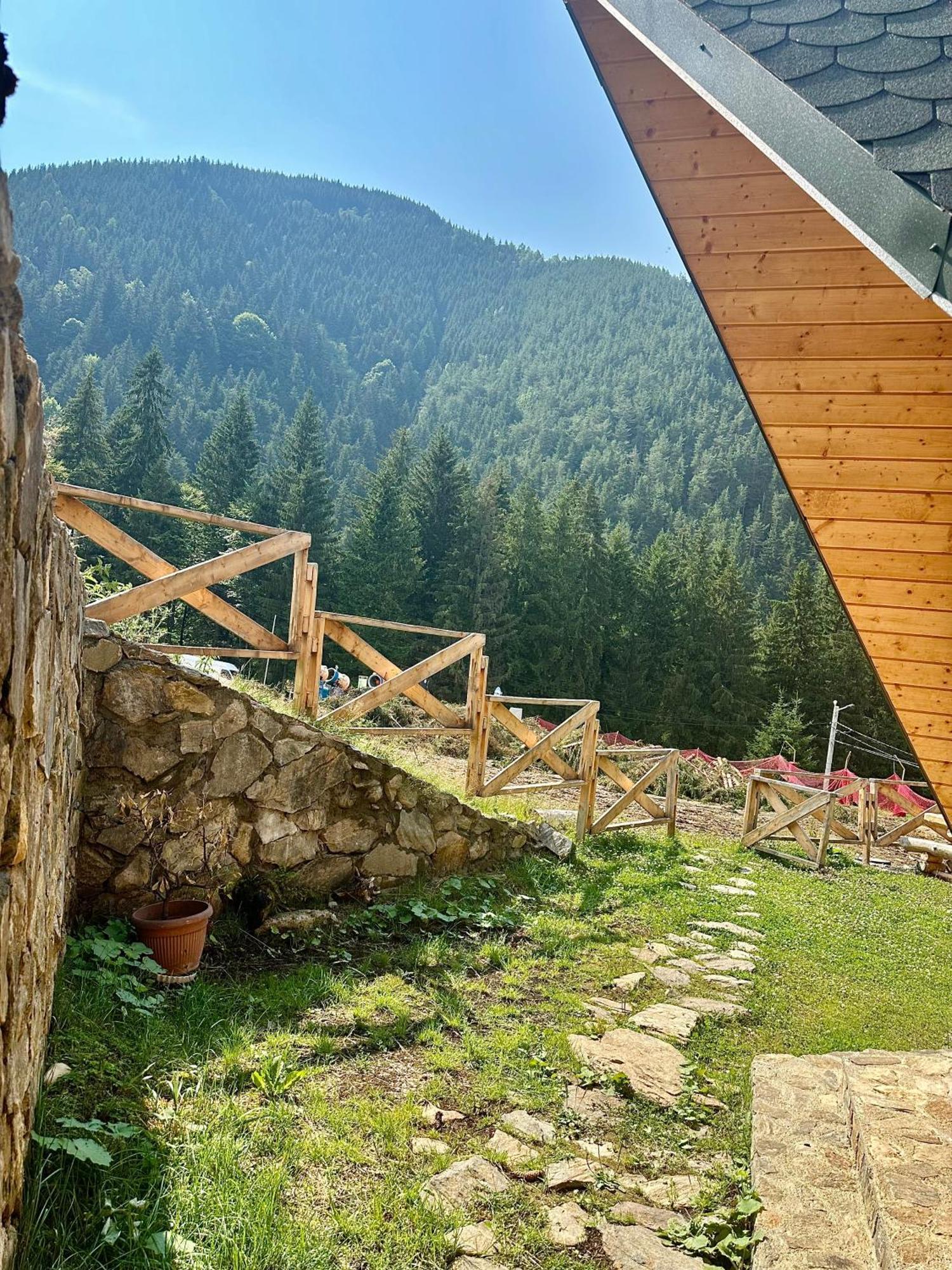 Domul Poarta Retezat Villa Rausor Exteriör bild