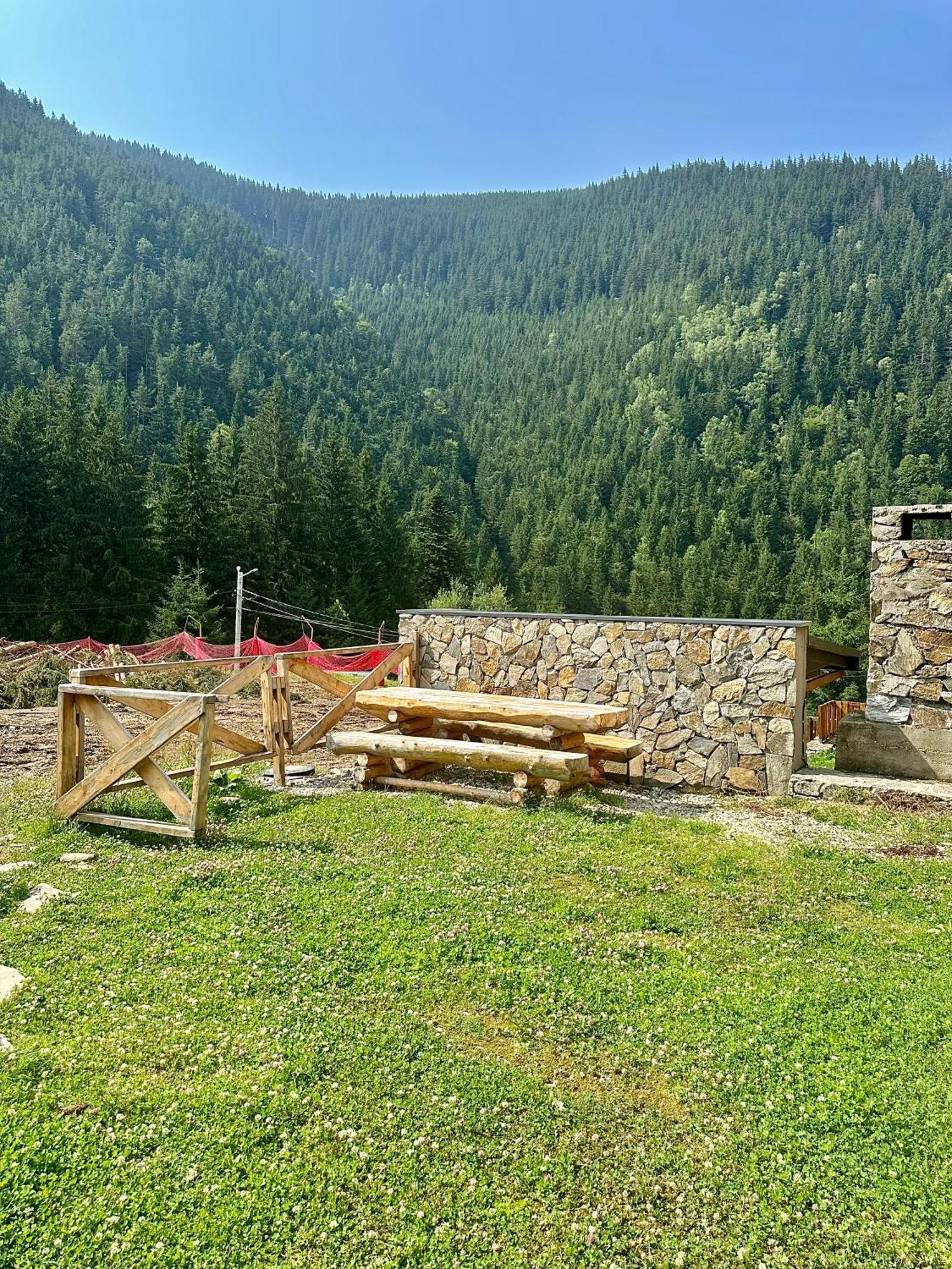 Domul Poarta Retezat Villa Rausor Exteriör bild