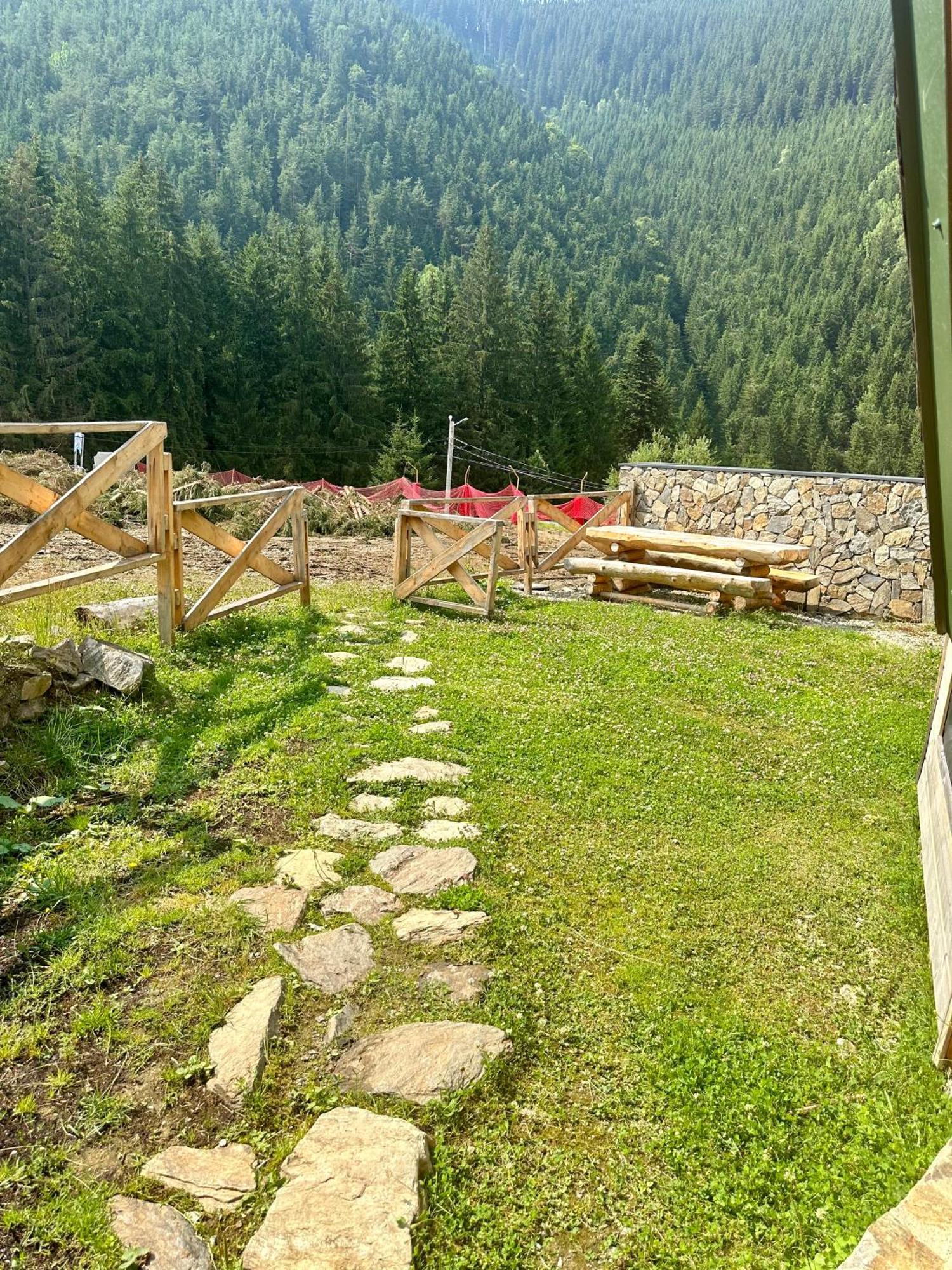 Domul Poarta Retezat Villa Rausor Exteriör bild